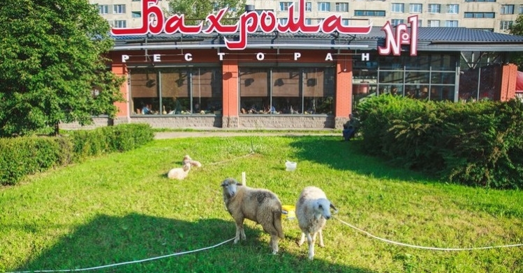 Бахрома