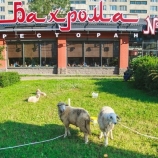 Бахрома