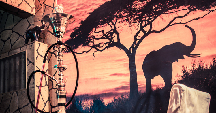 Black Elephant